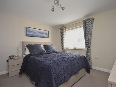 Picture 13